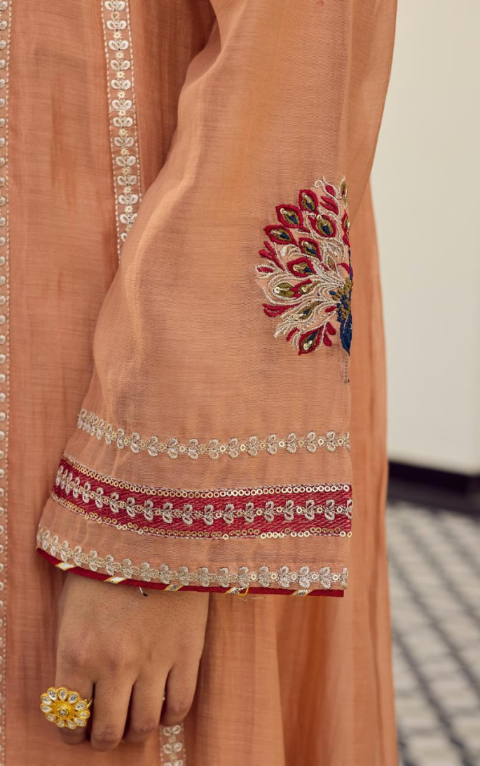 Elegance Redefined Mal Chanderi